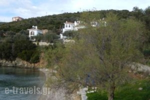 Argo - Mythos_best prices_in_Hotel_Central Greece_Evia_Istiea