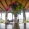 Finikas Apartments_best deals_Apartment_Crete_Rethymnon_Plakias