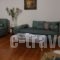 Athens Family Apartments_holidays_in_Apartment_Central Greece_Attica_Moschato