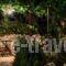 Villa Athina_lowest prices_in_Villa_Crete_Chania_Platanias