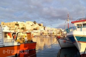 Villa Veranda_best deals_Villa_Cyclades Islands_Paros_Alyki