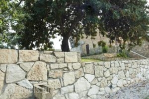 Villa-Aristotelis_lowest prices_in_Villa_Crete_Chania_Kissamos