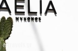 Aelia Mykonos_s __1