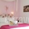 Malia Star Apartments_best prices_in_Apartment_Crete_Heraklion_Malia