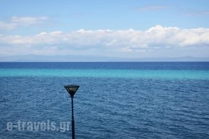 Alkionides Boutique Apartments_best prices_in_Apartment_Macedonia_Halkidiki_Haniotis - Chaniotis