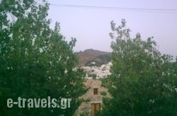The Green Villa_s __1