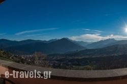 The View Village_s __2