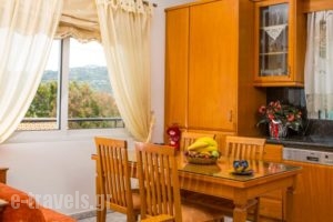Evita Apartments_holidays_in_Apartment_Crete_Heraklion_Ammoudara