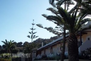 Joanna Studios_accommodation_in_Hotel_Crete_Rethymnon_Plakias