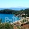 Lena Garnelli Apartments_holidays_in_Apartment_Ionian Islands_Corfu_Kassiopi