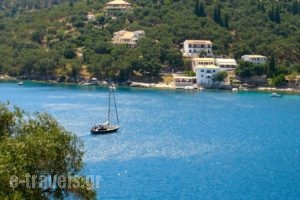 Lena Garnelli Apartments_best prices_in_Apartment_Ionian Islands_Corfu_Kassiopi