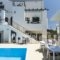 Olive Tree_lowest prices_in_Hotel_Crete_Chania_Falasarna