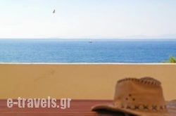 Morfes Ii_s __1