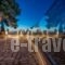 Castelli Villa_holidays_in_Villa_Ionian Islands_Zakinthos_Zakinthos Rest Areas