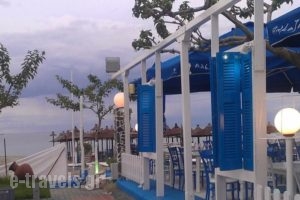 Villa Niovi_best deals_Villa_Macedonia_Pieria_Dion