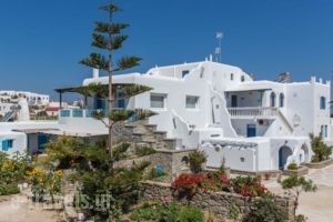 Anais_holidays_in_Hotel_Cyclades Islands_Mykonos_Mykonos ora
