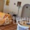 Villa Grecia_best prices_in_Villa_Ionian Islands_Corfu_Afionas