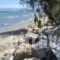 Summer House on the Sandy Beach_best deals_Hotel_Ionian Islands_Corfu_Corfu Rest Areas