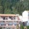 Galini Sea Apartments_accommodation_in_Apartment_Ionian Islands_Corfu_Corfu Rest Areas