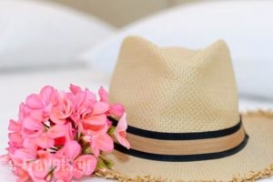 Gerani Studios_holidays_in_Hotel_Dodekanessos Islands_Astipalea_Astipalea Chora