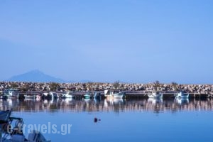 Anasa Thalassas_best deals_Hotel_Aegean Islands_Thasos_Thasos Chora