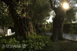 Kriopigi Beach Hotel_best prices_in_Hotel_Macedonia_Halkidiki_Kassandreia
