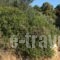 Suburban Deluxe Lodging & Retreat_travel_packages_in_Central Greece_Attica_Amarousio (Marousi)