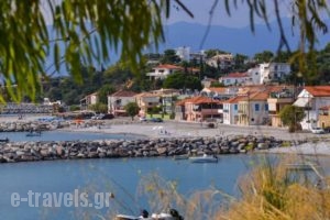 Moireas Apartments_best deals_Apartment_Thessaly_Magnesia_Koropi