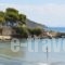 Acqua Marina Nautilus_holidays_in_Hotel_Piraeus Islands - Trizonia_Aigina_Agia Marina