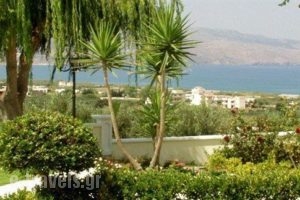 Antilia Apartments_best prices_in_Hotel_Crete_Chania_Tavronitis