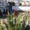 Alkionis Studios_lowest prices_in_Hotel_Macedonia_Halkidiki_Kassandreia