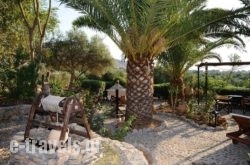 Yiannis Retreat_s __1