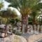 Yiannis Retreat_accommodation_in_Hotel_Crete_Lasithi_Sitia