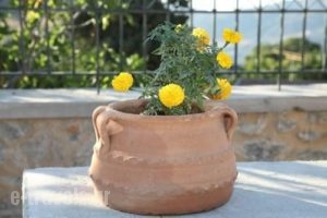 Metoxi Villas_lowest prices_in_Villa_Crete_Rethymnon_Spili
