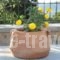 Metoxi Villas_lowest prices_in_Villa_Crete_Rethymnon_Spili