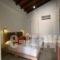 Elma's Dream Apartments_holidays_in_Apartment_Crete_Chania_Daratsos