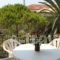 Arillas Studios_holidays_in_Hotel_Ionian Islands_Corfu_Arillas