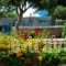 Studios Petra_best prices_in_Hotel_Cyclades Islands_Naxos_Naxos chora