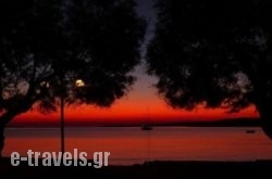 Hotel Paros_s __1