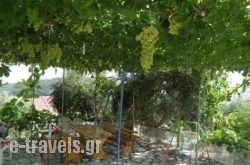 Fatiras Studios_s __1