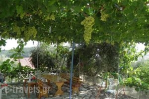 Fatiras Studios_accommodation_in_Room_Ionian Islands_Corfu_Kassiopi