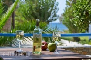 Sea View Studios & Apartments_best deals_Apartment_Cyclades Islands_Naxos_Agia Anna