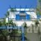 Sea View Studios & Apartments_holidays_in_Apartment_Cyclades Islands_Naxos_Agia Anna