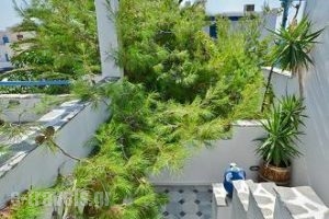 Sea View Studios & Apartments_best prices_in_Apartment_Cyclades Islands_Naxos_Agia Anna