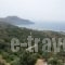 Villa Ioanna_travel_packages_in_Crete_Rethymnon_Plakias