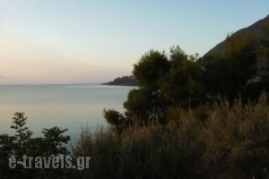 Nikiana Club_holidays_in_Apartment_Ionian Islands_Lefkada_Nikiana