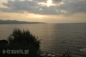 Nikiana Club_best prices_in_Apartment_Ionian Islands_Lefkada_Nikiana