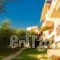 Maistrali Beach Studios_travel_packages_in_Macedonia_Halkidiki_Poligyros