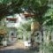 Albatross_lowest prices_in_Hotel_Aegean Islands_Samos_Kambos