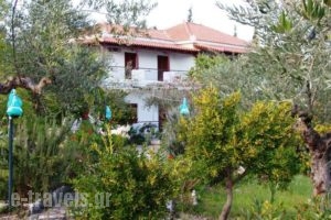 Kombi Beach_lowest prices_in_Hotel_Thessaly_Magnesia_Pilio Area